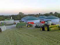 Il mais offre un ottimo rapporto tra amido e fibra che garantisce una buona produzione di metano